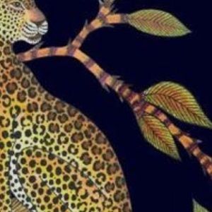 Meet your Posher, Jodie